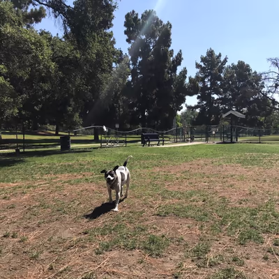 Wrigley Heights Dog Park photo 2